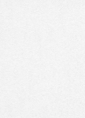 Фото Erismann Robusto Vol.2 3913-01