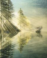 Komar SH018-VD2 (Indulgence of Beauty)