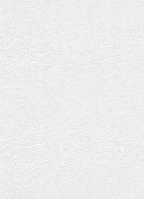 Фото Erismann RollOver 5369-01 (5369-10)