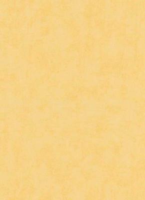 Фото Erismann Prime Time Vol.2 6340-03