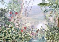 Утро в тропиках