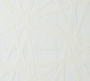 Фото BN International Inspire 45460