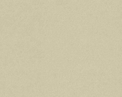 Фото A.S.Creation Meistervlies 3 300133