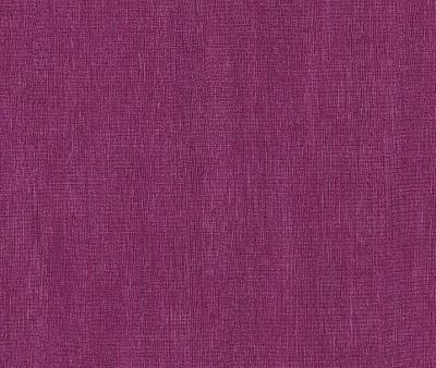 Фото Rasch Intuicion 2011 733396