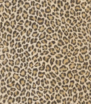 Фото Rasch African Queen 2 473612