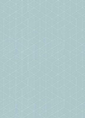 Фото Erismann Scandinja 6466-18