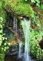 Водопад и среди растений