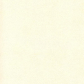 Фото Sandudd Hopealehti 2876-2