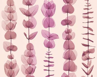 Фото A.S.Creation X-Ray 34246-3