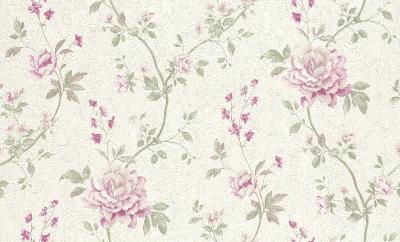 Фото Rasch Maximum XI 927511