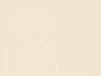 Фото A.S.Creation Vernissage 916242