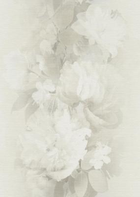 Фото Erismann Aurora 12243-02