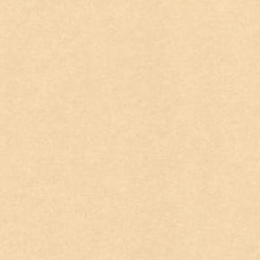 Фото Sandudd Hopealehti 4879-5