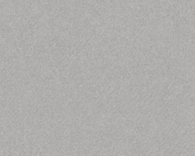 Фото A.S.Creation MV meets XXL 715180