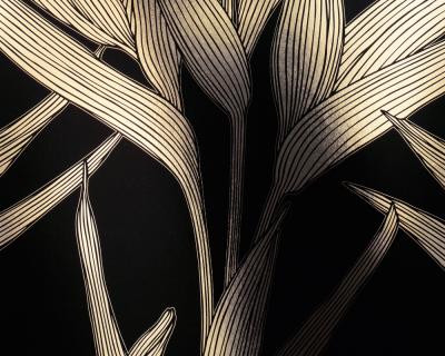 Фото A.S.Creation Chroma 176516