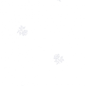 Фото BN International Bont 46906