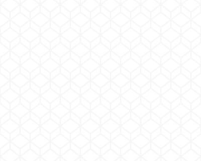 A.S.Creation Esprit 6 221919