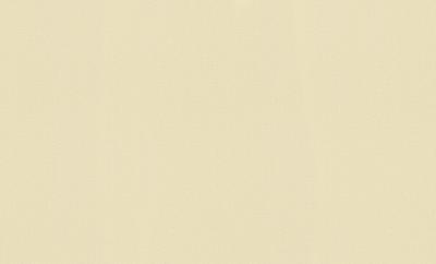 Фото Rasch Maximum XI 927412