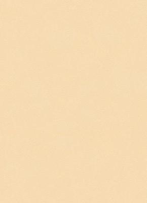 Фото Erismann City Glam 5958-02