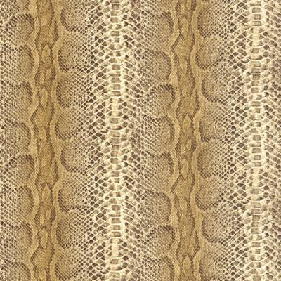 Фото Rasch African Queen 2014 423136