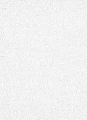 Фото Erismann Robusto Vol.2 3912-01