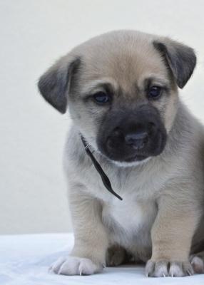 Фото Rasch Kids' Club 2014 892406