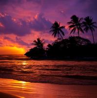 Розовый закат