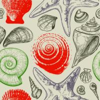 Цветные ракушки