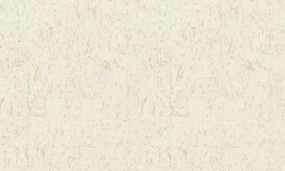 Фото Rasch Metal Spirit 977400