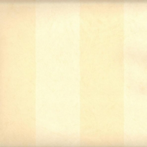 Фото Sandudd Nonwoven Nikkari 4826-3