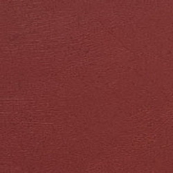 Фото BN International Authentique 45733