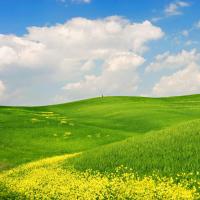 Поле и облака