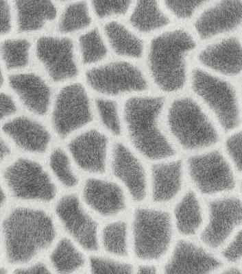 Фото Rasch African Queen 2014 422849