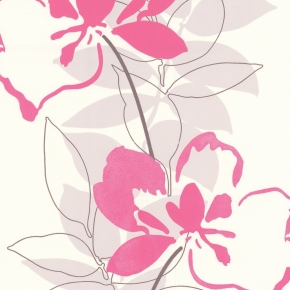 Фото Marburg Zu Hause Wohnen 2 53030