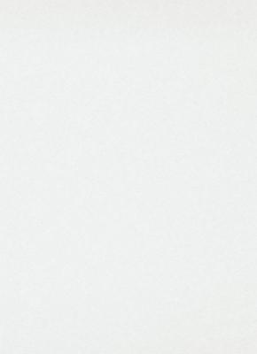 Фото Erismann Robusto Vol.2 3333-6 (плотность 150гр.)