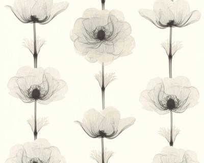 Фото A.S.Creation X-Ray 34273-4