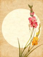 Гладиолусы в азиатском стиле