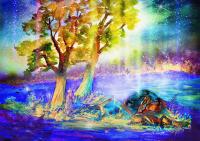 Ночь в лесу