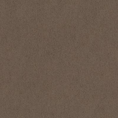 Rasch African Queen 2014 422344