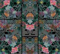 Иллюзия вашего разума