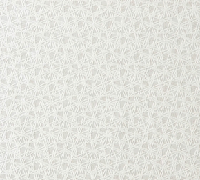 Фото BN International Inspire 45421