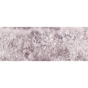 Фото Marburg Suprofil 2014 45307