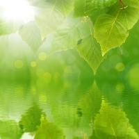 Солнечные лучи