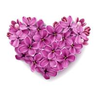 Сердце из сирени