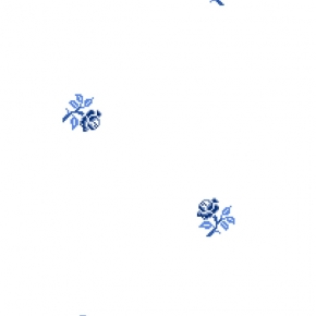 Фото BN International Bont 46902