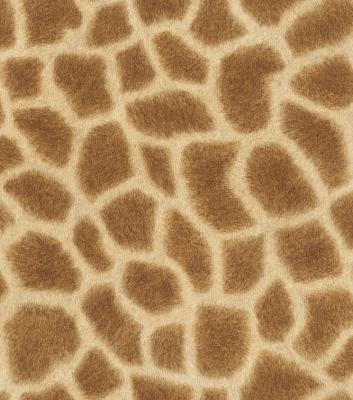 Фото Rasch African Queen 2014 422801