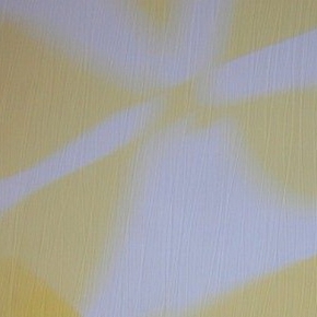 Фото BN International Silhouets 43238