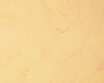 Фото A.S.Creation Best of Vlies 2014 169020