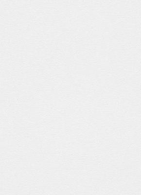 Фото Erismann Prime Time 6423-01