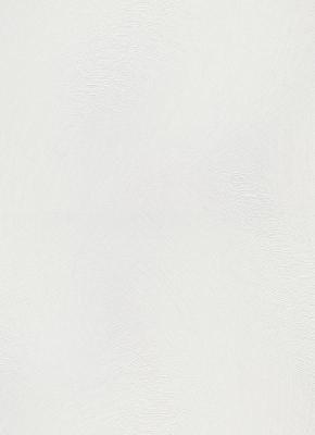 Фото Erismann Spotlight 2 12199-01